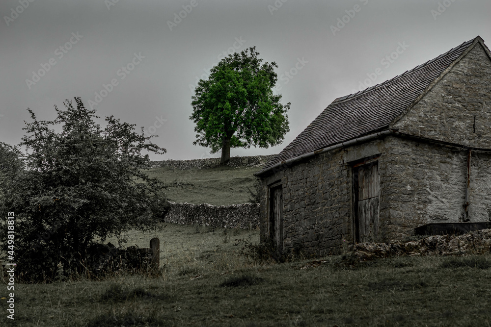 Obraz premium old abandoned farm house