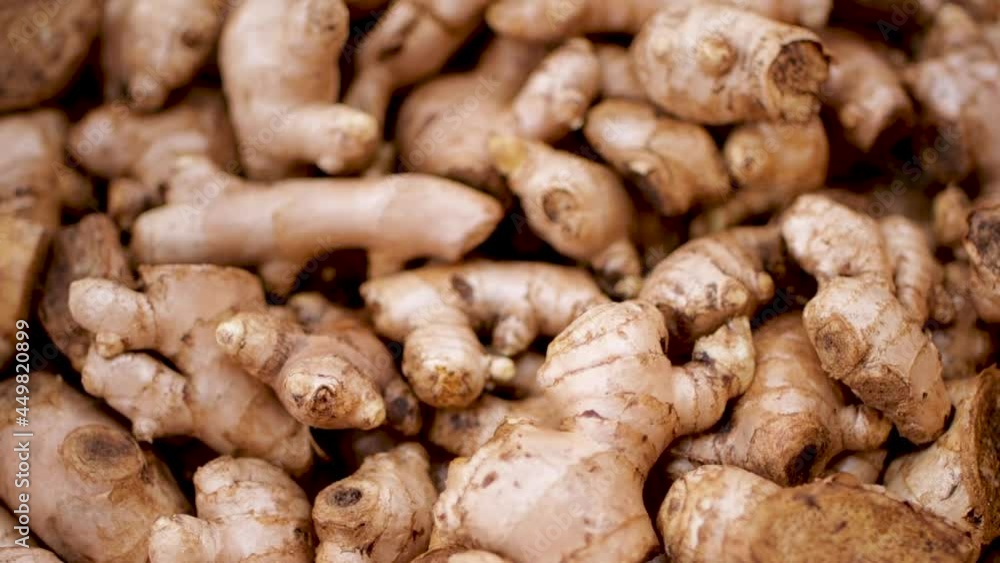 How to grow turmeric, ginger, galangal in an agricultural plot. How to grow turmeric, ginger, galangal in an agricultural plot.