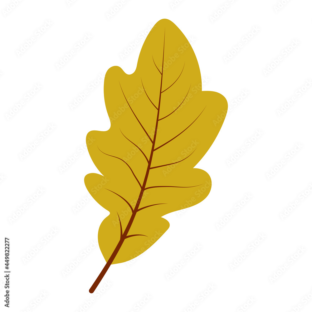 Oak leaf in hand drawn style