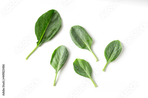 Chinese Broccoli isolated on white background