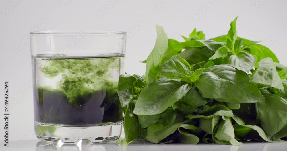 Chlorophyll extract and basil is poured in pure water in glass against a white background and green organic basil herbs. Growing fresh plants, healthy food. Concept of superfood, detox and diet, slow Chlorophyll extract and basil is poured in pure water in glass against a white background and green organic basil herbs. Growing fresh plants, healthy food. Concept of superfood, detox and diet, slow