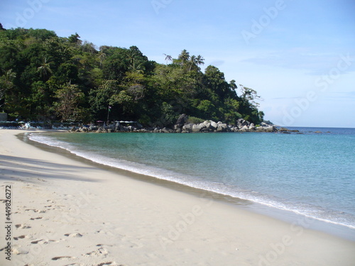 beach with palm trees