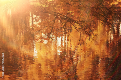 sunny landscape in fall park, autumn season background orange park © kichigin19