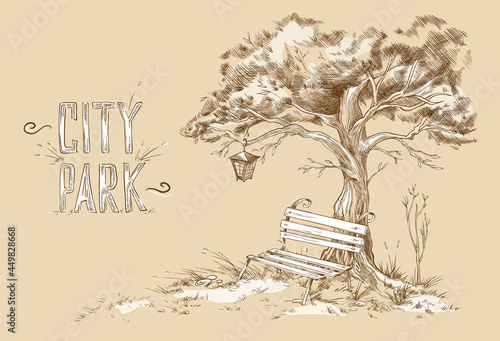 Cute bench under crown tree with lantern in park or garden a vector illustration