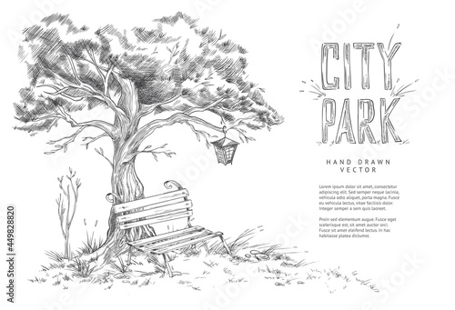City park in sketch style vector illustration.