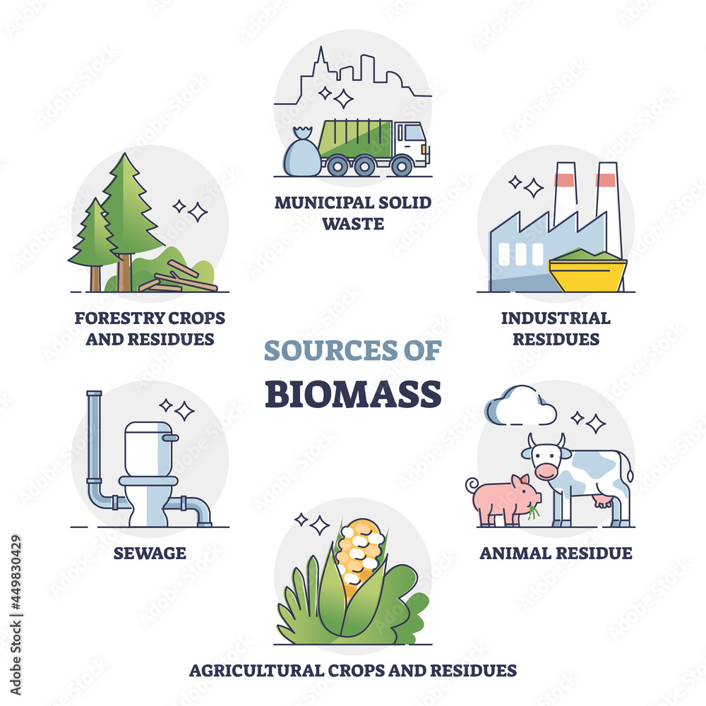 Sources of biomass energy as alternative power in outline collection  diagram. Educational labeled set with recycled municipal solid waste,  residues, sewage and forestry crops vector illustration. Stock Vector |  Adobe Stock