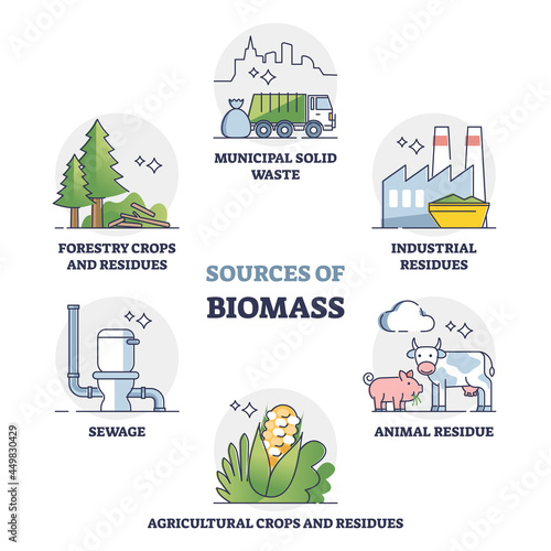 Sources of biomass energy as alternative power in outline collection diagram. Educational labeled set with recycled municipal solid waste, residues, sewage and forestry crops vector illustration.