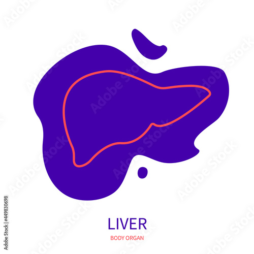 Liver digestive system body organ outline icon on abstract geometric splash. Human anatomy medical symbol. Vector illustration.