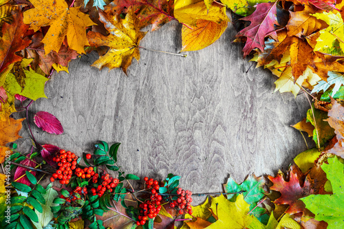 Autumn leaves frame background