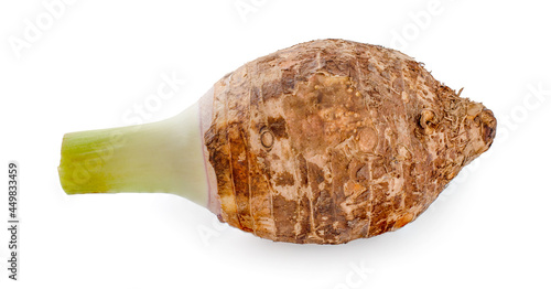 taro isolated on white background