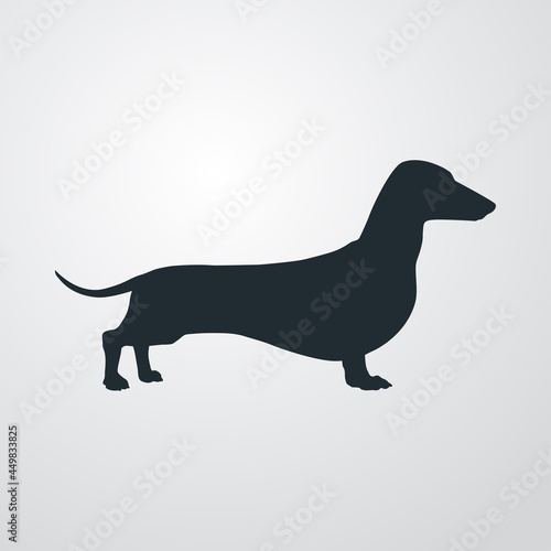 Razas de perro. Silueta de perro dachshund en fondo gris	