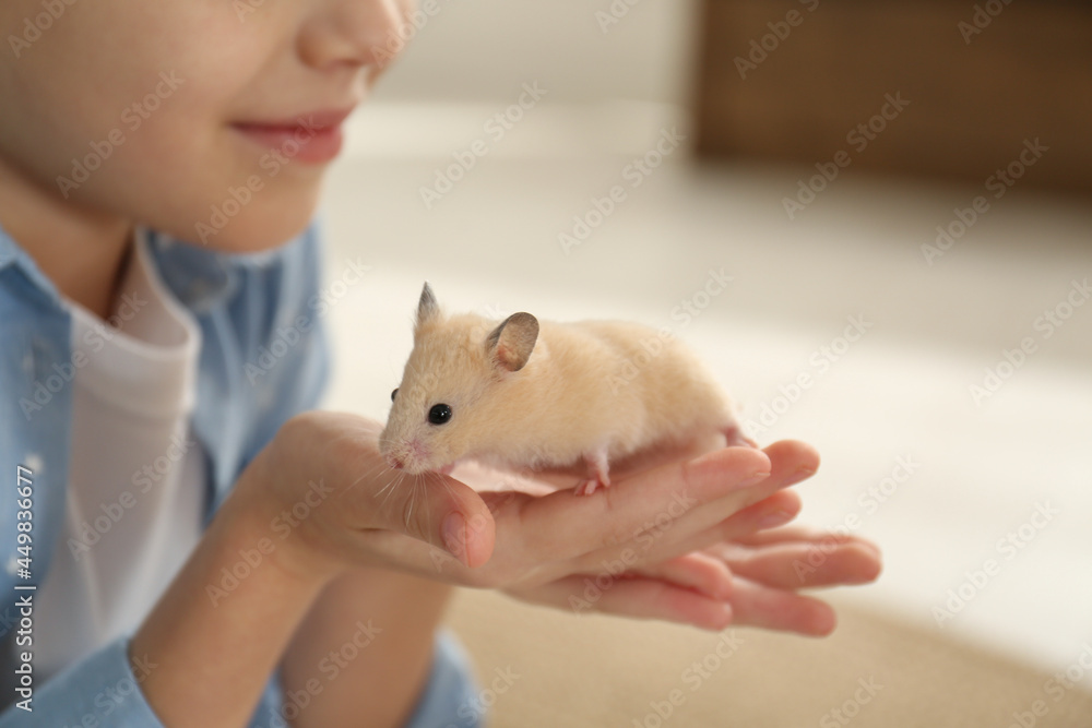 Little girl holding cute hamster at home, closeup Little girl holding cute hamster at home, closeup