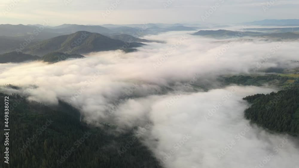 Amazing flowing morning fog in summer mountains Amazing flowing morning fog in summer mountains