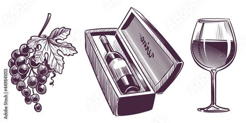 Wine sketch. Winemaking hand drawn set, engraving images, classical alcoholic drink. Bottle in wooden gift box and wineglass, bunch of grapes with leaves, grape vine. Vecto isolated set