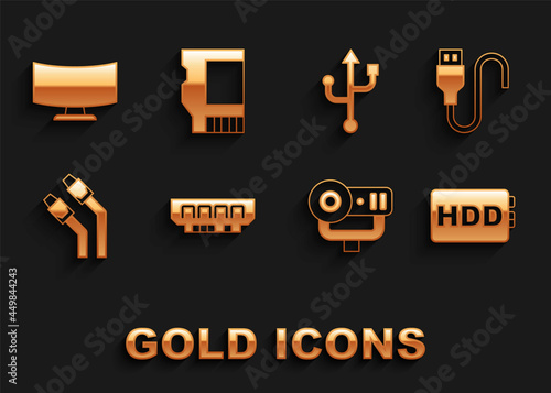 Set RAM, random access memory, USB cable cord, Hard disk drive HDD, Web camera, LAN network internet, Computer monitor screen and SD card icon. Vector