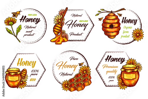 Decorative labels for honey product. Vintage frames with outline elements of beehive, bee, honeycomb, flower and jar. Natural pure extract, medical treatment ingredient. Organic food, vitamin product.