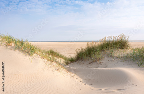 Fototapeta Naklejka Na Ścianę i Meble -  dunes and beach on dutch island of texel on sunny day with blue sky
