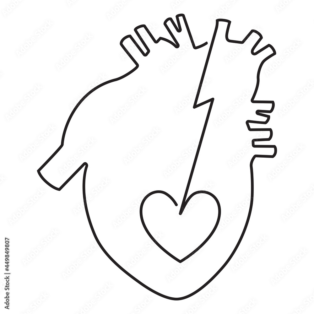 Broken heart. Anatomical lineart image of a human's heart. Vector, continuous line drawing. Isolated on white background Broken heart. Anatomical lineart image of a human's heart. Vector, continuous line drawing. Isolated on white background