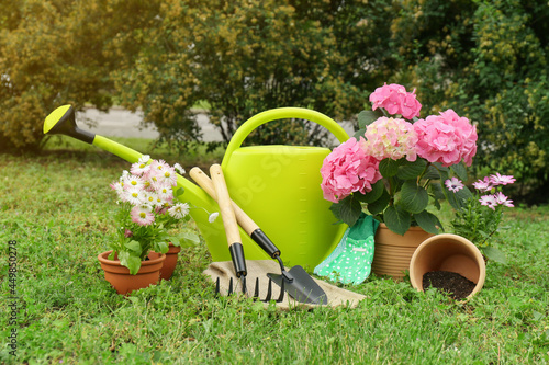 Beautiful blooming plants, gardening tools and accessories on green grass outdoors