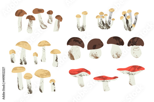 Cep, boletus, honey mushrooms, russula. Edible mushrooms. Autumn forest food. Seasonal raw fungi isolated on white. Vegetarian product. Vector flat cartoon illustration, ingredient set