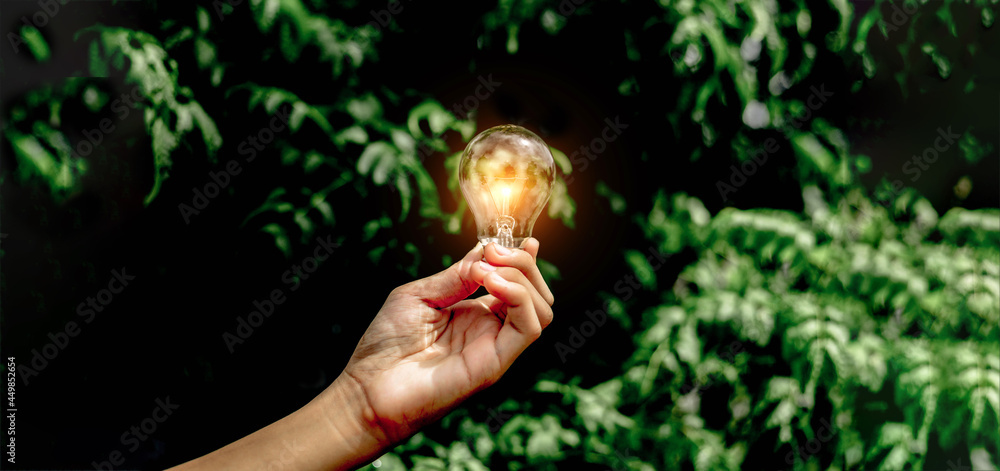 Hand holding light bulb,natural energy and love the world concept.	