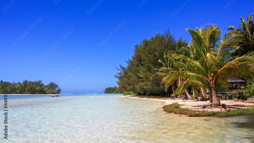 Obraz premium a body of water surrounded by palm trees in cook islands