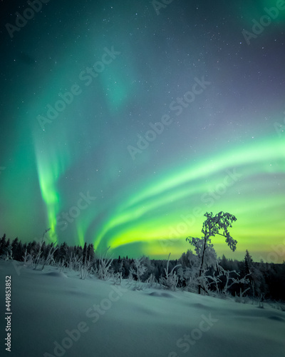 The Northern lights - Aurora Borealis in Finland