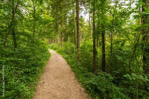 Wanderweg am Alm Fluss © lexpixelart