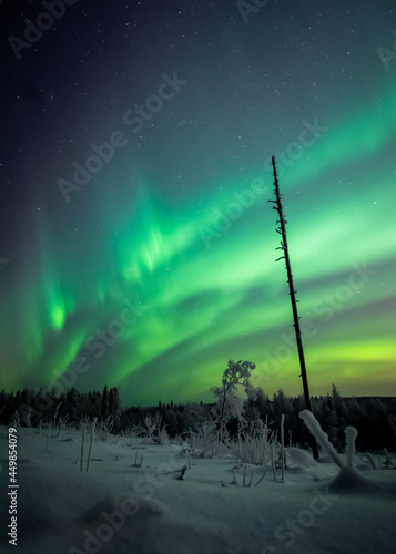 The Northern lights - Aurora Borealis in Finland