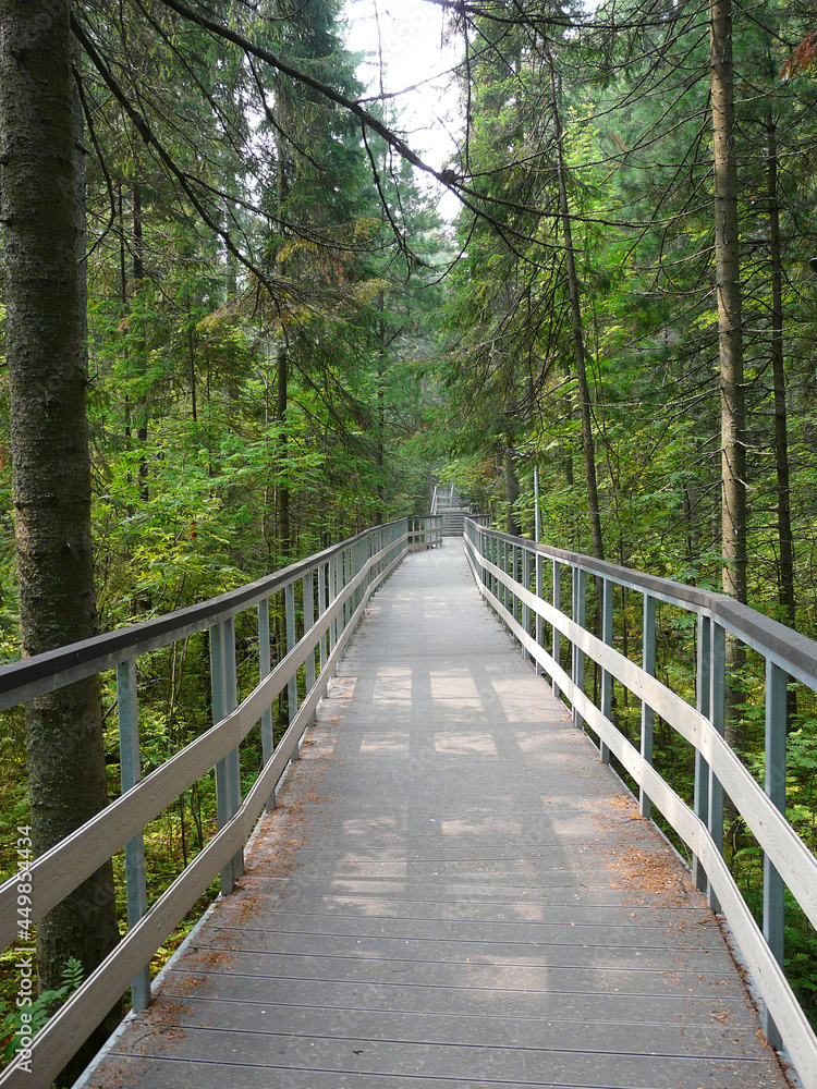 Modern paths and stairs for walking in the park. New walking trails in the Chugas nature reserve in Khanty-Mansiysk