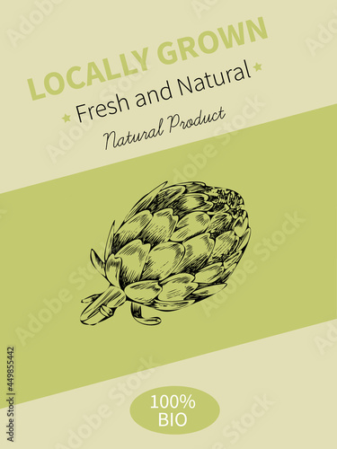 Vector hand drawing sketch of plant banner. Eco food product. Vintage vector illustration of an artichoke.