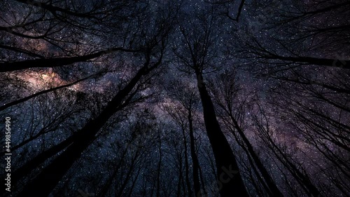 A meteor shower shooting across the clear night sky above a forest silhouette.