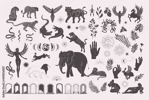 Collection of wild and mythical animals and creature, plants, architectural elements, arch, woman silhouettes. Minimalistic objects. Editable Vector Illustration.