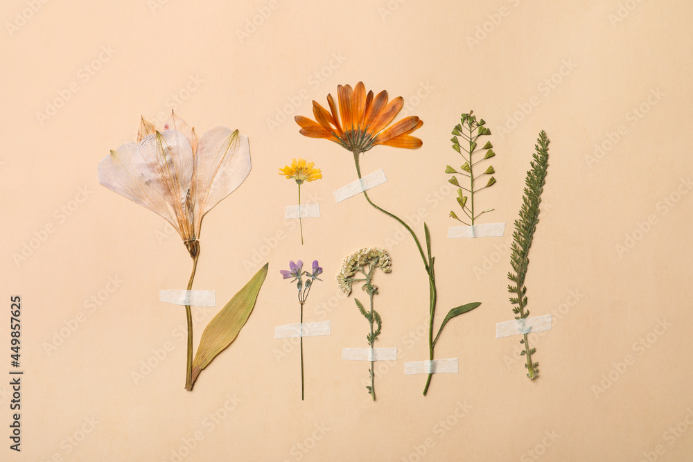 Beautiful Flowers Background Tumblr
