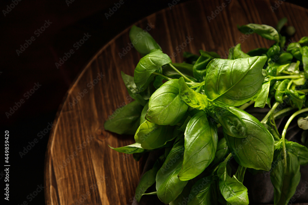 Fototapeta premium Green basil leaves in back light on a dark background on a wooden table