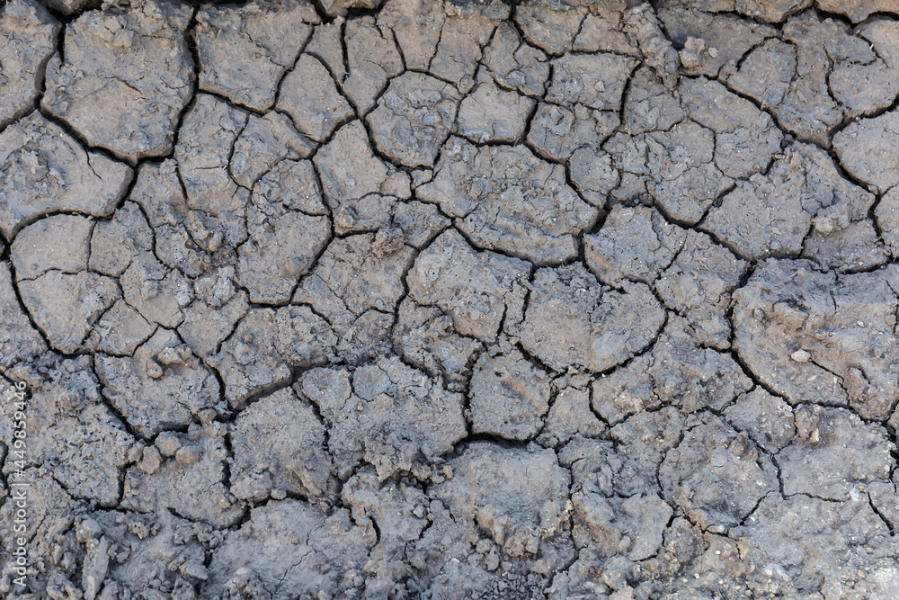 Top view of dried cracked mud in place of puddle Top view of dried cracked mud in place of puddle