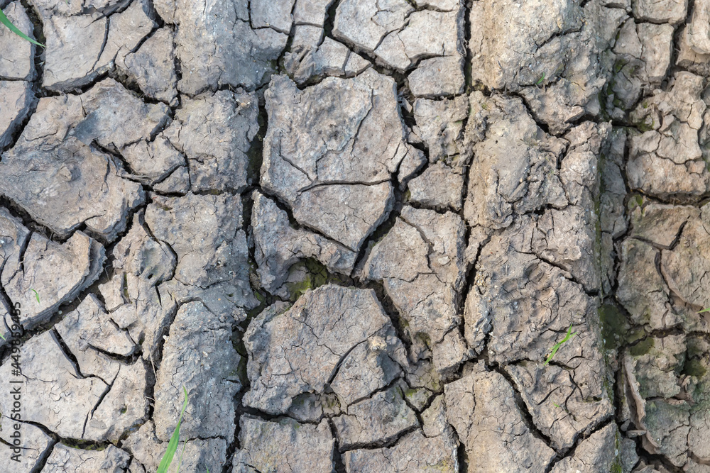 Top view of dried cracked mud in place of puddle Top view of dried cracked mud in place of puddle
