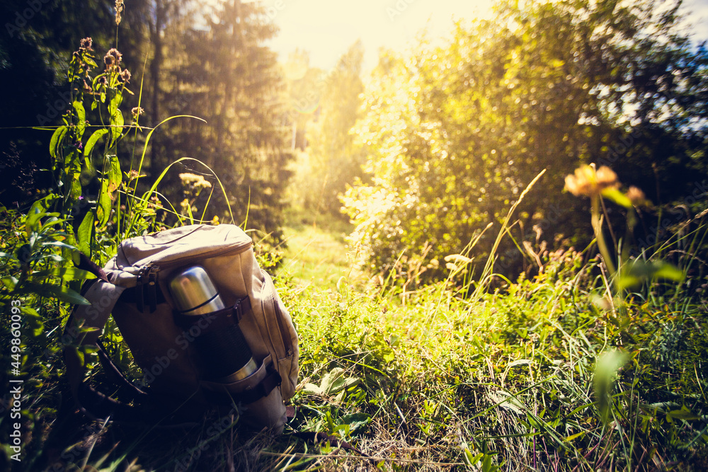 Backpack on the forest trail Stock Photo | Adobe Stock