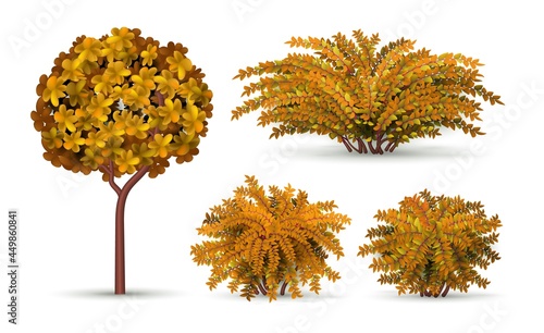 Realistic tree and bush. Autumn shrub, seasonal hedge elements. Isolated garden plants and topiary for landscape vector design