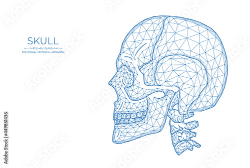 Human skull low poly art. Polygonal vector illustration of a skull side view.