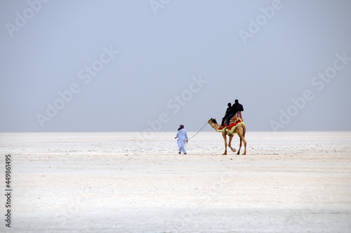 Фотография Closeup shot of tourists on a camel with a guide in desert of white salt in Dhor