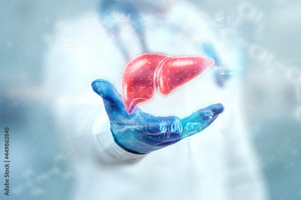 © Aliaksandr Marko - The doctor looks at the Liver hologram, checks the test result on the virtual interface, and analyzes the data. Liver disease, donation, innovative technologies, medicine of the future