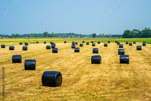 Obraz na płótnie Panoramic landscape with packed hay 