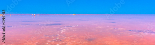Salt lake with pink salt and the blue sky with clouds. Sasyk-Sivash pink salt lake in Crimea.