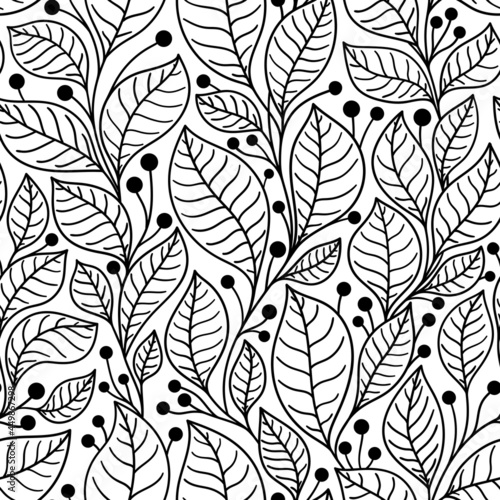 White seamless background with laurel tree branches