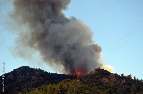  Wildfire in the forest near a resort town (Marmaris, Turkey. July 29,2021)