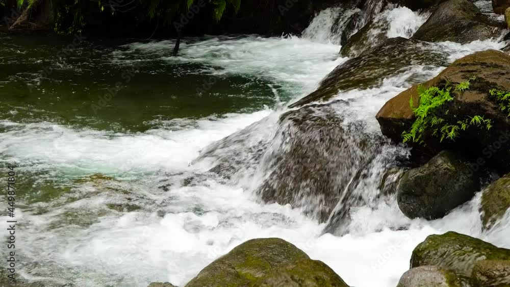 River,creek in the rainforest. River in the green forest. Camiguin, Philippines. River,creek in the rainforest. River in the green forest. Camiguin, Philippines.