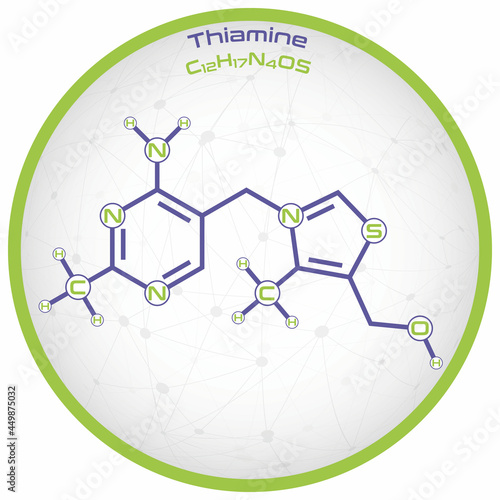 Large and detailed infographic of the molecule of Thiamine