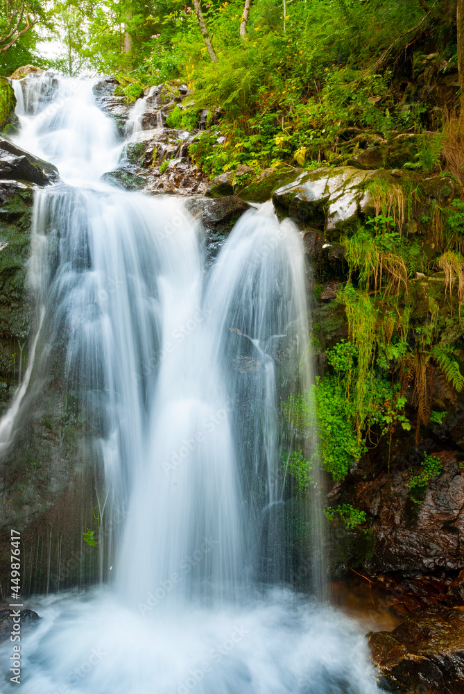 Wasser Fluß Wald