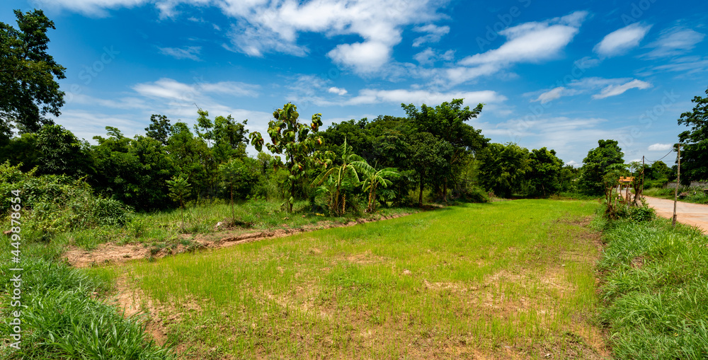 Thailand Farmlands 